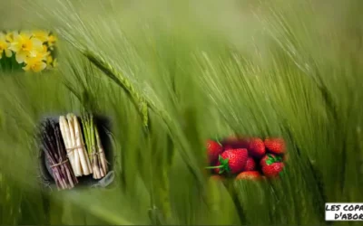 Notre carte de printemps arrive !